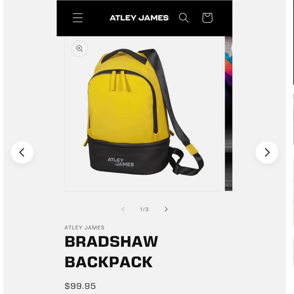 ATLEY JAMES BACKPACK The Bradshaw Collection water resistant NWT